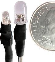 Evans LED 3mm 19V Sld Wm Wht 5/ (5) Evans LED 3mm 19V Sld Wm Wht 5/ (5)