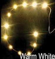 Evans 12 LED 12-18V Warm White