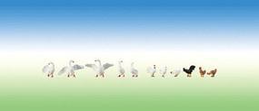 Faller Hens & Geese (11) HO Scale Model Railroad Figure #154010 Faller Hens & Geese (11) HO Scale Model Railroad Figure #154010