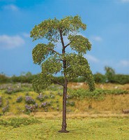 Faller Black Poplar Tree Premium 5-1/2'' 14cm Faller Black Poplar Tree Premium 5-1/2'' 14cm