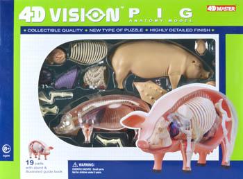 4D-Vision Visible Pig Anatomy Kit