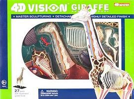 Giraffe Anatomy Kit