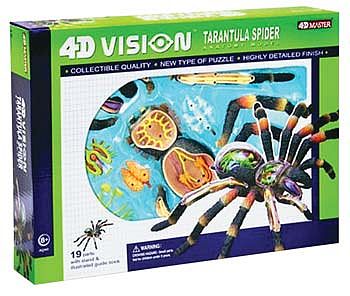4D-Vision Tarantula Spider Anatomy Kit