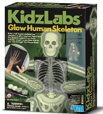4M-Projects Glow Human Skeleton