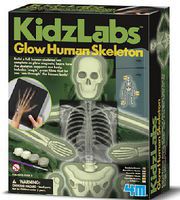 4M-Projects Glow Human Skeleton 4M-Projects Glow Human Skeleton