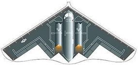 Gayla 42''x22'' Stealth Raider Delta Wing Kite Single-Line Kite #128