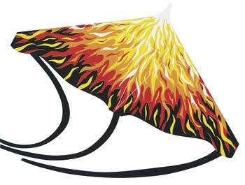 Gayla 48x31 Flames Stunt Kite