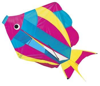 Gayla Rainbow Fish 3D 27.5 Single-Line Kite #877