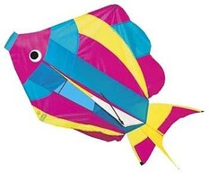 Gayla Rainbow Fish 3D 27.5'' Single-Line Kite #877 Gayla Rainbow Fish 3D 27.5'' Single-Line Kite #877