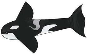 Killer Whale 72'' Single-Line Kite #891