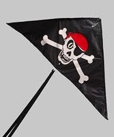 Gayla 50''x24'' Skull N Cross Bones Constellation Delta Nylon Kite Single Line Kite #940 Gayla 50''x24'' Skull N Cross Bones Constellation Delta Nylon Kite Single Line Kite #940