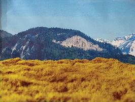 Grand-Central Grass Mat California Gold Grand-Central Grass Mat California Gold