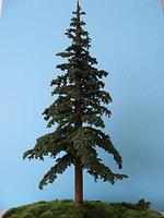 Grand-Central Lodgepole Pine X-Lrg 2/ (2) Grand-Central Lodgepole Pine X-Lrg 2/ (2)