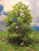 Grand-Central Maple Tree 5-6'' Tall 2/ (2) Grand-Central Maple Tree 5-6'' Tall 2/ (2)
