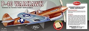 Model Kit WWII Model Warhawk