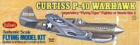 16-1/2 Wingspan P40 Warhawk Kit