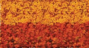 Heki Foliage Autumn Glory Heki Foliage Autumn Glory