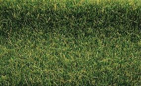Heki Tuftgrass Summer Green Heki Tuftgrass Summer Green