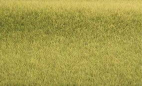 Heki Tuftgrass Savannah Green Heki Tuftgrass Savannah Green
