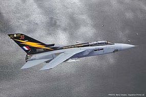 Hasegawa Tornado F MK3 #111 Squad 90th Annv Ltd Ed Plastic Model Airplane Kit 1/72 Scale #01959 Hasegawa Tornado F MK3 #111 Squad 90th Annv Ltd Ed Plastic Model Airplane Kit 1/72 Scale #01959