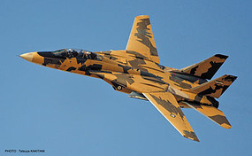 Hasegawa F-14A Tomcat Iranaian Airforce Desert Scheme Plastic Model Airplane Kit 1/72 Scale #02242 Hasegawa F-14A Tomcat Iranaian Airforce Desert Scheme Plastic Model Airplane Kit 1/72 Scale #02242