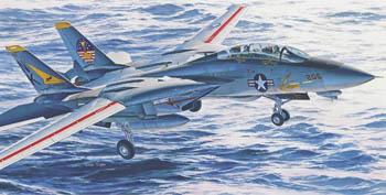 F-14 Tomcat for 1/48th Scale Hasegawa Model SAC 48061 for sale online 