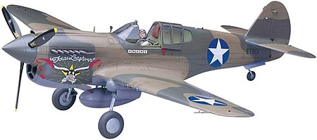 Hasegawa P40E Warhawk Texas Longhorn USAAF Fighter Plastic Model Airplane Kit 1/32 Scale #08879