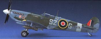 Hasegawa Spitfire Mk VIII 1:48 Royal Air Force Fighter 