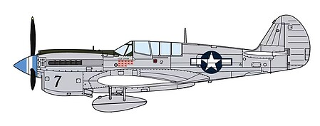 Hasegawa P-40N Warhawk Natural Metal Aces Plastic Model Aircraft Kit 1/48 Scale #7516