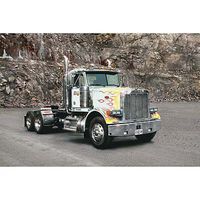 Peterbilt 378-119
