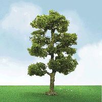 JTT Downy Birch Tree O Scale Model Railroad Tree #92406 JTT Downy Birch Tree O Scale Model Railroad Tree #92406