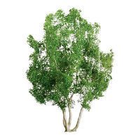 JTT Professional Series Snow Gum Trees HO Scale Model Railroad Tree #94258 JTT Professional Series Snow Gum Trees HO Scale Model Railroad Tree #94258