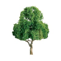 JTT Deciduous Trees 1''