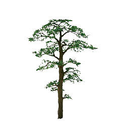 JTT Scots Pine Trees N Scale Model Railroad Tree #94434