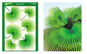 JsWorks Multi-Scale Palm Fan Leaves (Colored Paper) JsWorks Multi-Scale Palm Fan Leaves (Colored Paper)