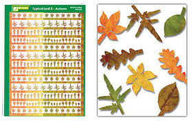 JsWorks Multi-Scale Typical Autumn Yellow-Red Large Leaves (Colored Paper)