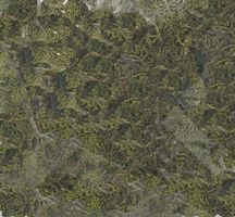 Labelle Lichen light green 4-oz Labelle Lichen light green 4-oz