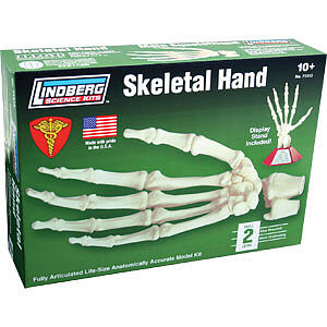 Lindberg SKELETAL HAND 1-1