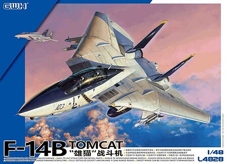 Lion-Roar 1/48 US Navy F14B Tomcat Fighter (New Tool)