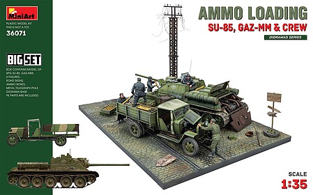 mna36071