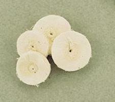 Muslin Buff Assortment (4pc) (D)