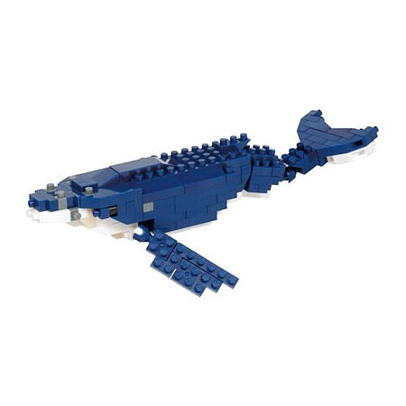 nan22156