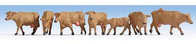 Noch Cows brown Noch Cows brown