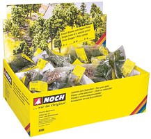 Noch Deciduous Tree Assrt 100/ (100) Noch Deciduous Tree Assrt 100/ (100)