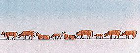 Noch Tan Cows