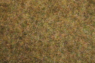 Noch Meadow Field Grass Mat (44 x 29 x 1.2cm) Model Railroad Grass #416