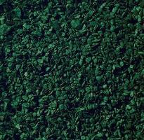 Noch Dark Green Leaves (50g) Model Railroad Grass Earth #7146