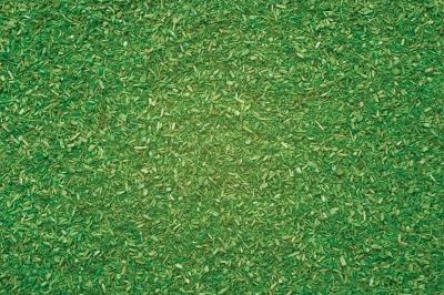 Noch Alpine Meadow (Light Green) Scatter Material 165g Model Railroad Grass Earth #8411