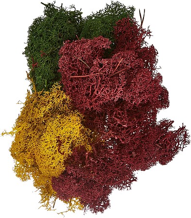 Noch Autumn Lichen (Double Pack) Model Railroad Lichen #8620