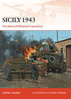 Campaign - Sicily 1943 The Debut of Allied Joint Operations Military History Book #c251